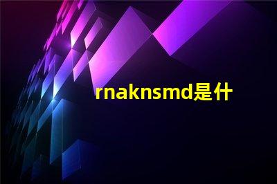 rnaknsmd是什么牌子衣服 Rnaknsmd什么意思
